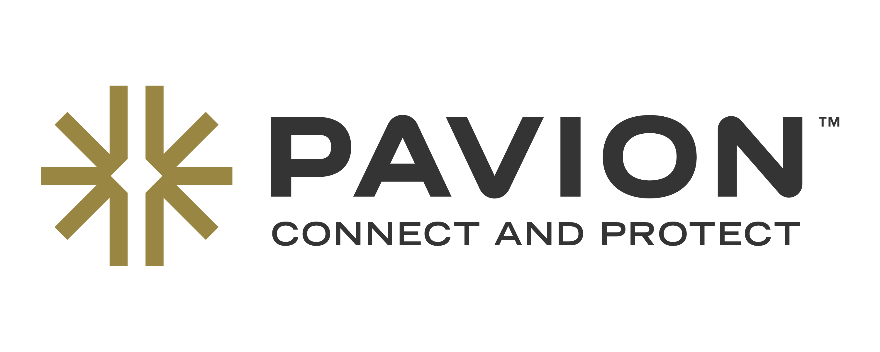 Pavion, A Fire, Security and AV Integration Company
